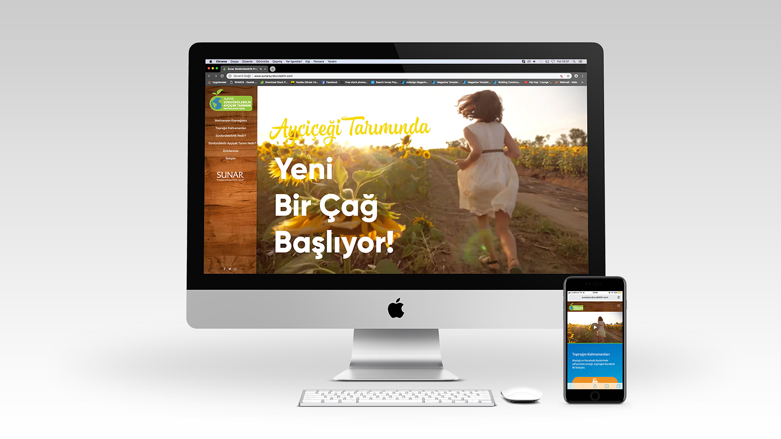 Web Site Tasarımı Adana